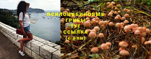 МДПВ Волоколамск