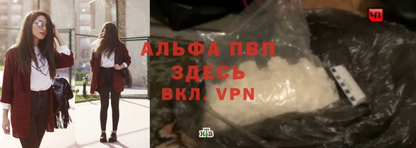 стаф Михайловск