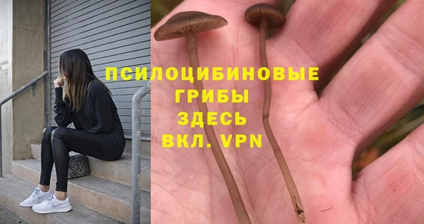 дживик Михайловка
