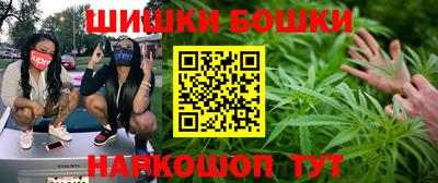 шишки Беслан