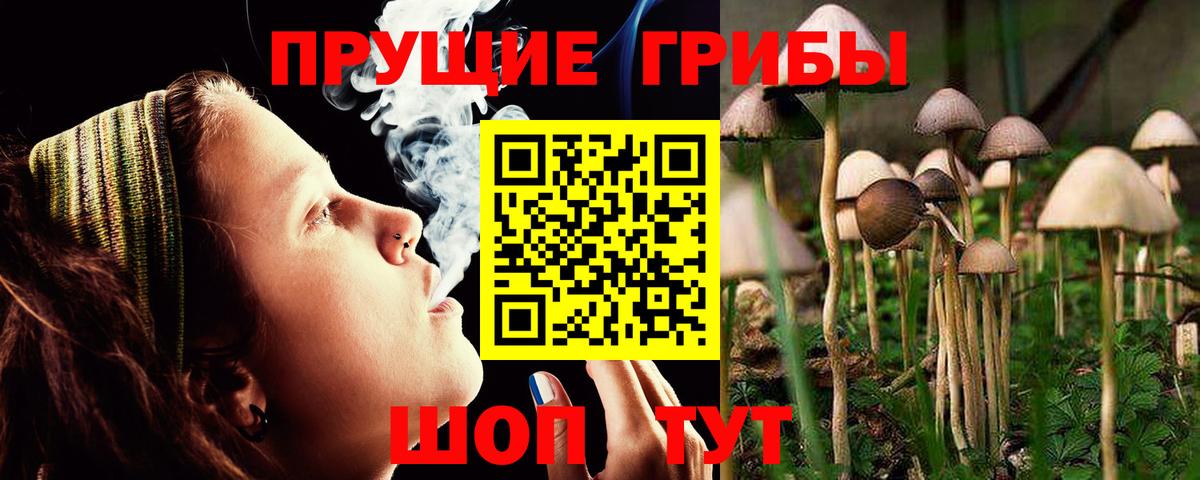 Псилоцибиновые грибы прущие грибы  Воткинск 