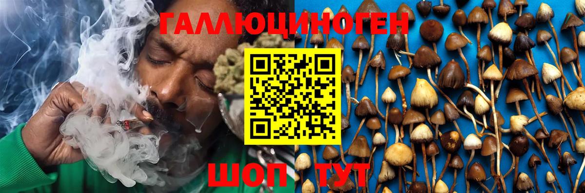 Галлюциногенные грибы Psilocybine cubensis Воткинск